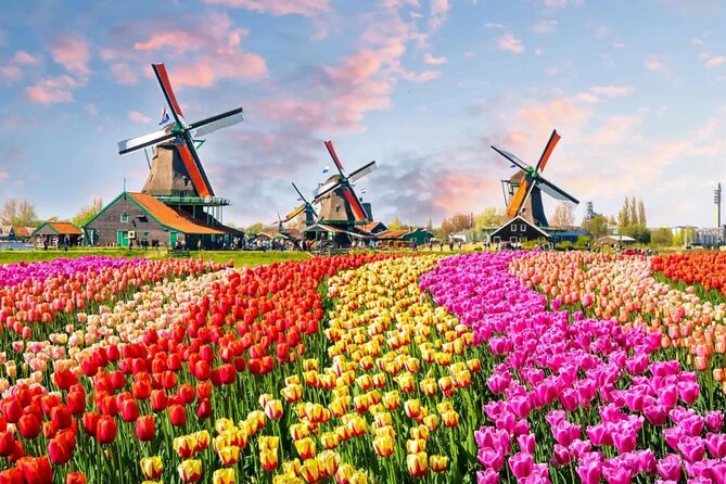 Tulip Paradise: Keukenhof Half-Day Private Tour - The 9:00 AM pickup and private ride