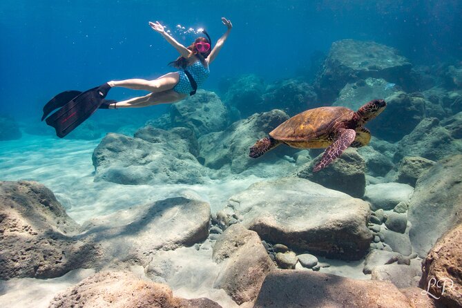 Turtle Gardens West Maui Snorkel Tour - Key things to know before you book