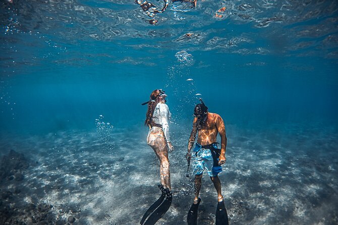 Turtle Gardens West Maui Snorkel Tour - Why the six-person limit matters