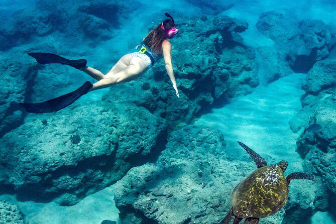 Turtle Gardens West Maui Snorkel Tour - A four-hour pace with a weather caveat