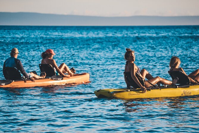 Turtle Gardens West Maui Snorkel Tour - Who will get the most from this kayak snorkel trip