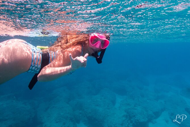 Turtle Gardens West Maui Snorkel Tour - Snorkeling where turtles are the main attraction