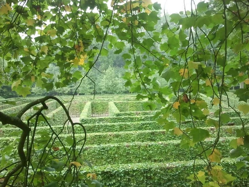 Utrecht: De Haar Castle Gardens and Park Only Entry Ticket - Key points to know before you go
