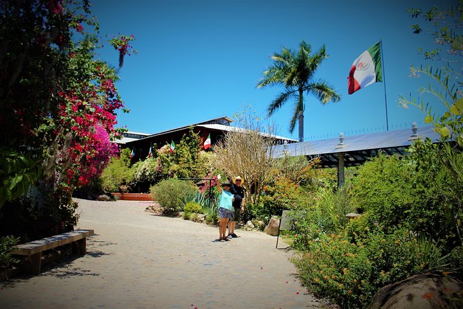 Vallarta Botanical Garden and Tequila Tasting from Puerto Vallarta - A long road to Vallarta’s botanical side
