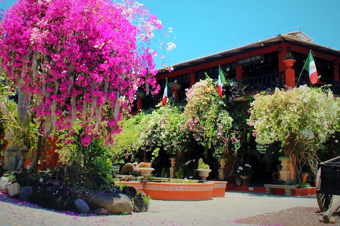 Vallarta Botanical Garden and Tequila Tasting from Puerto Vallarta - How to make the day run better