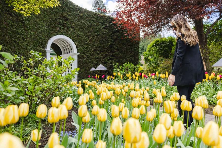 Vancouver to Victoria Seaplane Day Trip + Butchart Gardens - Returning to Vancouver by floatplane