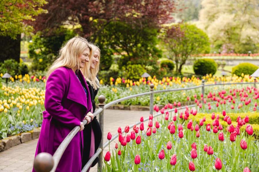 Vancouver to Victoria Seaplane Day Trip + Butchart Gardens - Is $504 per person good value?