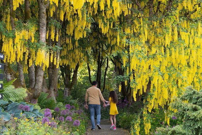 VanDusen Botanical Garden Admission Ticket - Follow the paths through 7,500 plant species