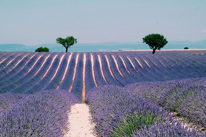 Verdon Gorge: The Grand canyon of Europe, Lake and Lavender - Lake Sainte-Croix and the choice between water and village time