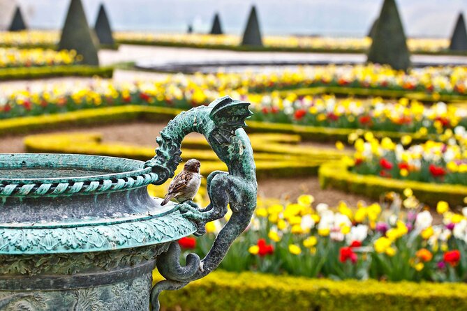 Versailles Gardens Walking Tour with Audioguide (no tickets) - The Orangery and formal flowerbeds