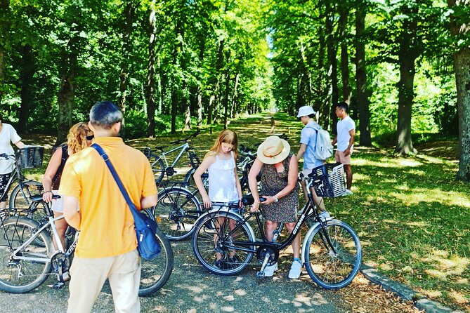 Versailles Golfcart & Bike Guided Tour: Gardens Hamlet Fountains - How much walking should you expect?