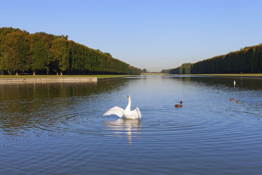 Versailles: Skip-the-Line Guided Tour of Palace with Gardens - Leaving the palace for the gardens