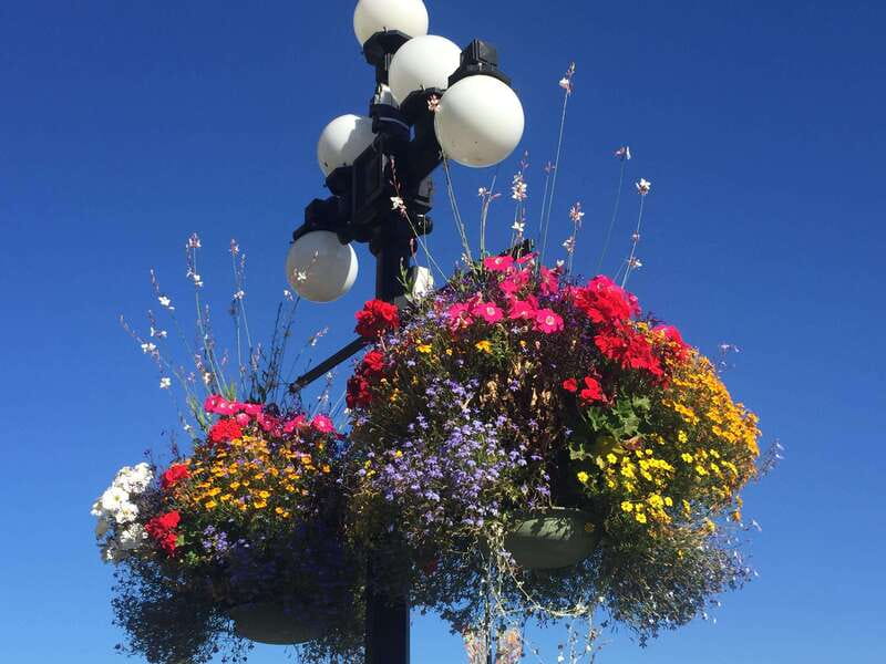Victoria, BC: City Tour and Butchart Gardens Combo Tour - Is two hours enough?