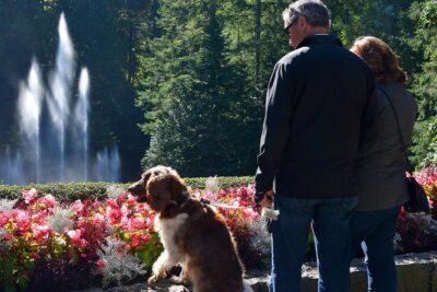 Victoria & Butchart Gardens Tour with Gulf Islands Cruise Ferry
