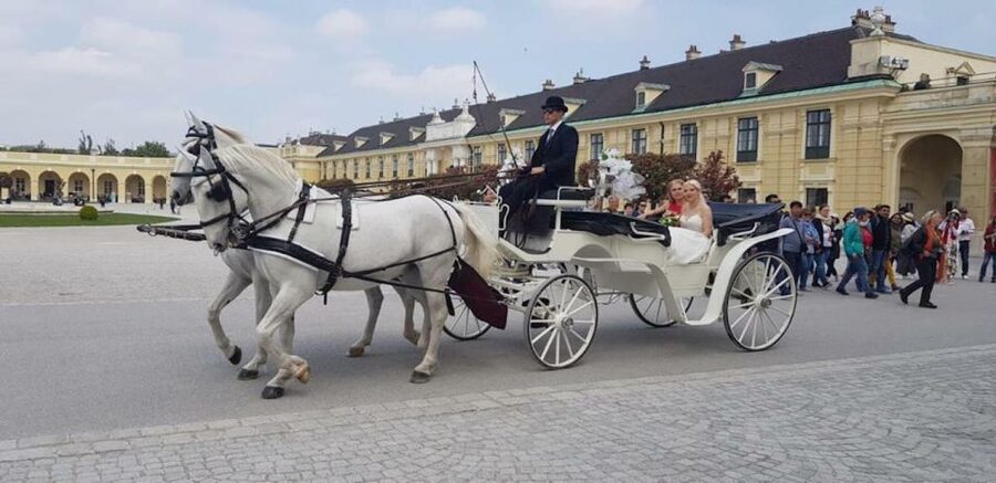 Vienna: Carriage Ride Through Schönbrunn Palace Gardens - A Gentle Way to See Schönbrunn’s Huge Garden
