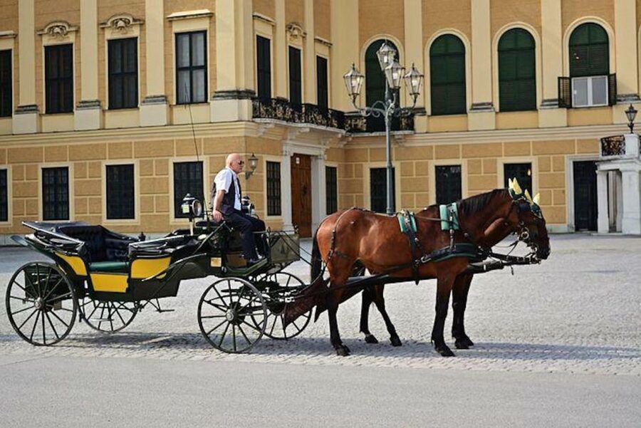 Vienna: Carriage Ride Through Schönbrunn Palace Gardens - Meeting at the Palace and Settling Into the Fiaker