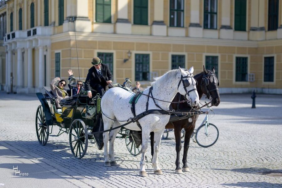 Vienna: Carriage Ride Through Schönbrunn Palace Gardens - Neptune Fountain and the Gloriette