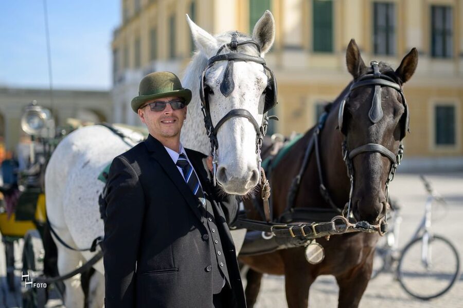 Vienna: Carriage Ride Through Schönbrunn Palace Gardens - Stories From a Traditional Viennese Fiaker