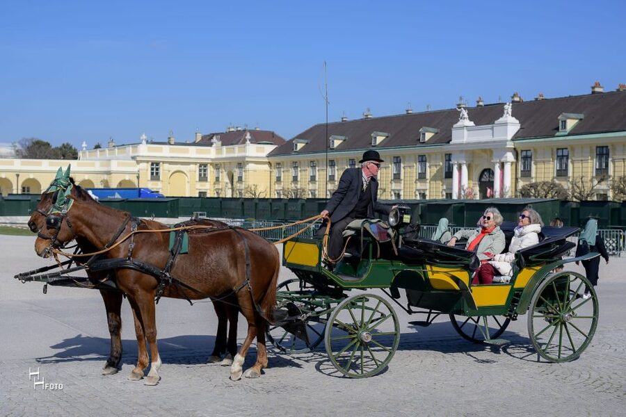 Vienna: Carriage Ride Through Schönbrunn Palace Gardens - Is $108 a Good Price for Four People?