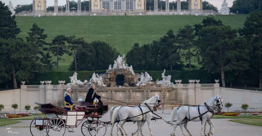 Vienna: Carriage Ride Through Schönbrunn Palace Gardens - Who Will Enjoy This Ride Most?