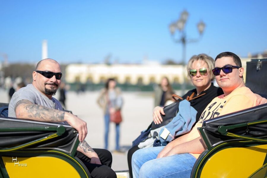 Vienna: Carriage Ride Through Schönbrunn Palace Gardens - Passing the Palace Buildings and Formal Gardens