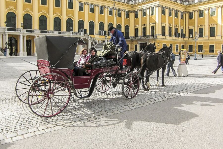Vienna: Schönbrunn Palace & Gardens Skip-the-Line Tour - One hour in the gardens and the walk to the Gloriette