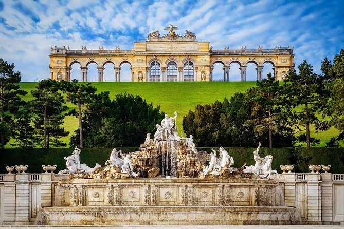 Vienna: Skip the Line Schönbrunn Palace and Gardens Guided Tour - The palace highlights: one hour inside