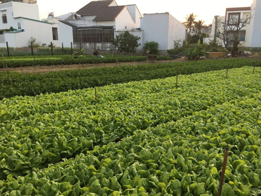 Viet Garden Cooking Class (Countryside and Market tour) - Leaving Nha Trang for Vietnam’s farming country
