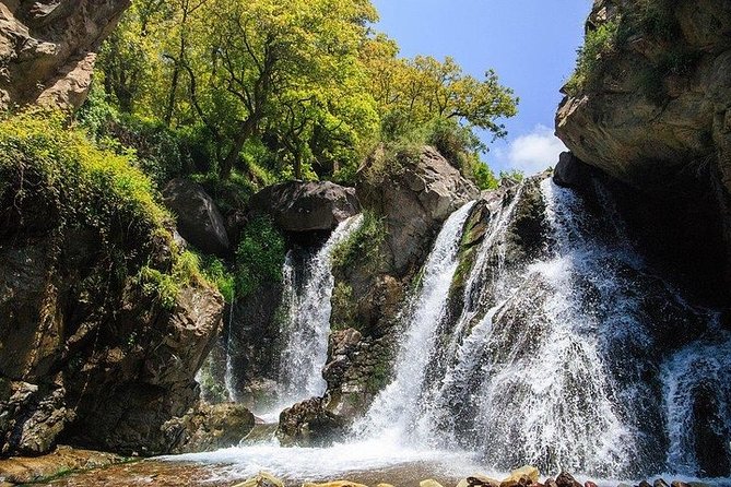 Visit Magical Anima Garden and Imlil Valley Guided Day Trip From Marrakech - The Optional Argan Cooperative Stop