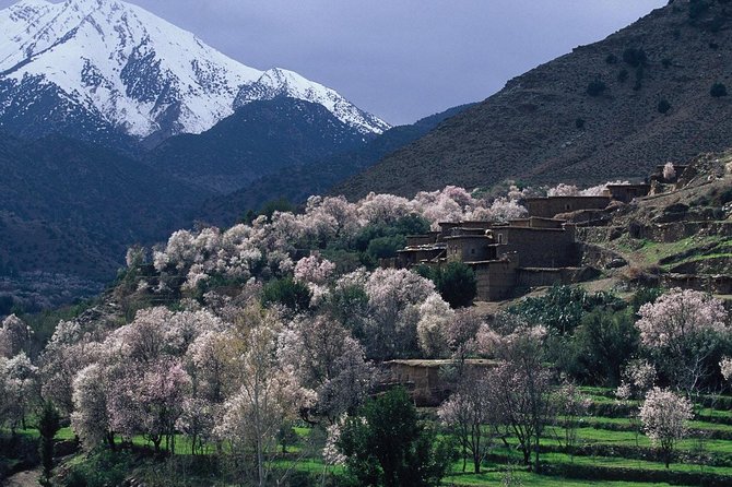Visit the Magical Anima Gardens & Ourika Valley - Who will enjoy this private outing most