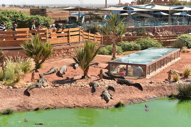 Visite the Crocodiles Park and Botanic garden - Snakes, turtles, monkeys, and smaller reptiles