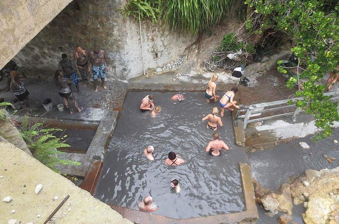 Volcanic Tour and Botanical Gardens - Sulphur Springs, bubbling craters, and the mineral bath