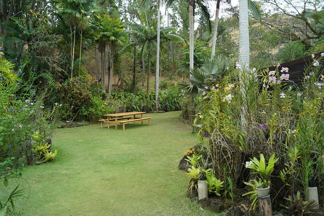 Vuda Lookout, Vesisei Village, Market, Temple & Garden of Sleeping Giant Tour - Viseisei Village and the first-Fijian landing story