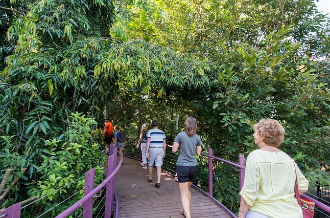 Walk the Darwin Botanic Gardens - Preparing for heat, rain, and uneven paths
