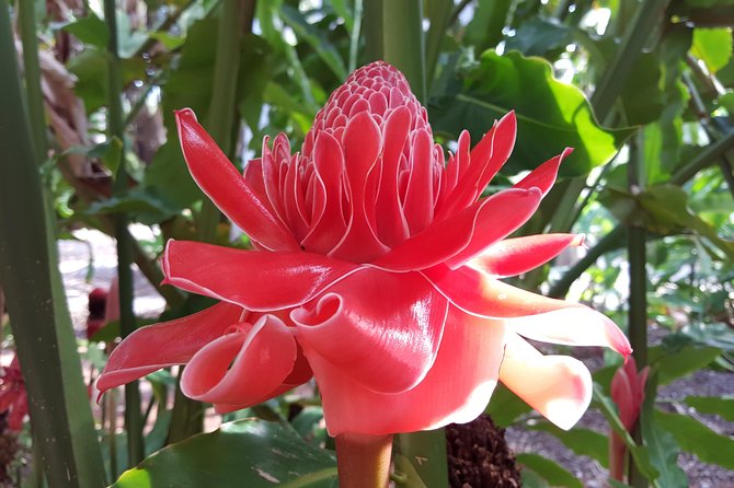 Walk the Darwin Botanic Gardens - Booking, cancellations, and practical limits