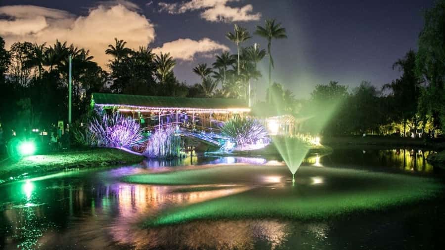 Walking tour José Celestino Mutis Botanical Garden 3 hrs - The 5,000-orchid display