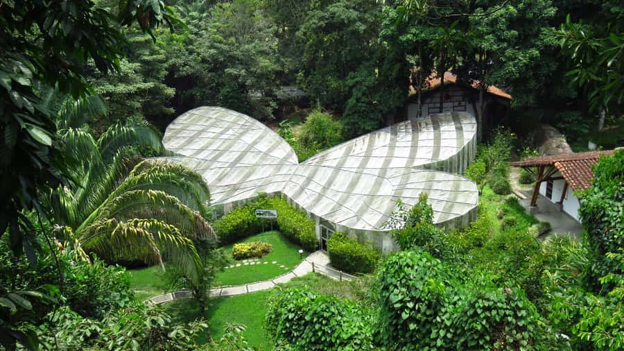 Walking tour José Celestino Mutis Botanical Garden 3 hrs - Why Bogotá’s savanna matters