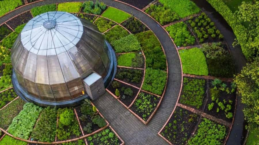 Walking tour José Celestino Mutis Botanical Garden 3 hrs - Walking through Colombian flora