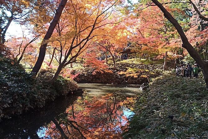 Walking tour, Tokyo Great Buddha, Botanical Garden, etc. - Key points at a glance
