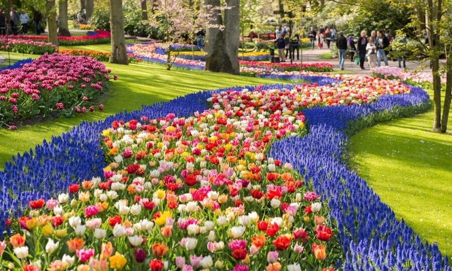 Warmond: Windmill Cruise and Keukenhof Entry Ticket - Key points to know before booking