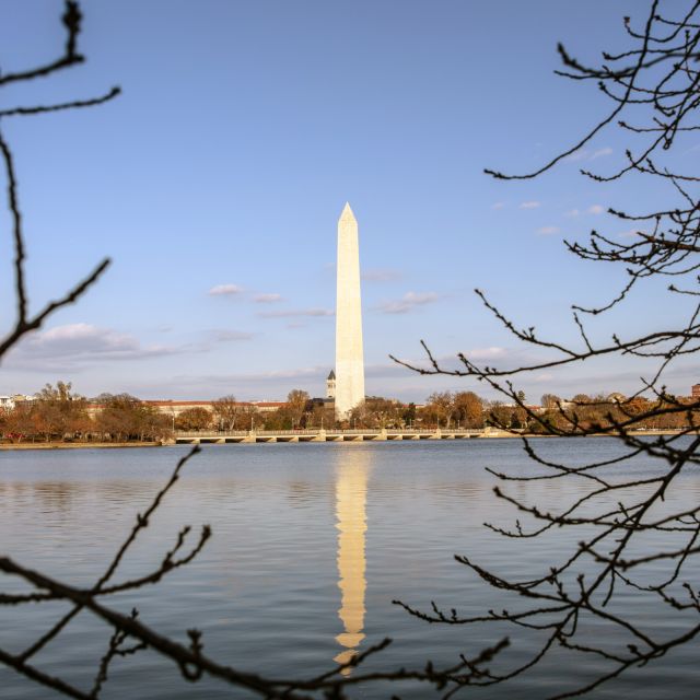 Washington: Cherry Blossom Tour - Lincoln Memorial: the tour begins with Washington’s grand scale