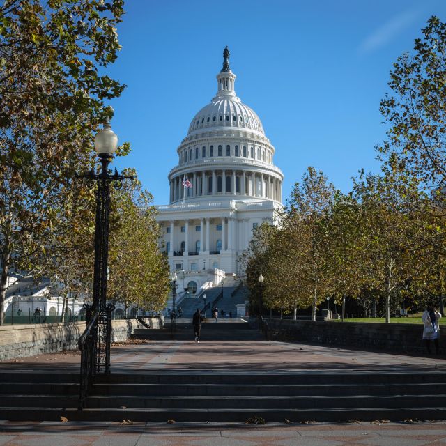Washington: Cherry Blossom Tour - The Tidal Basin is the seasonal heart of the experience