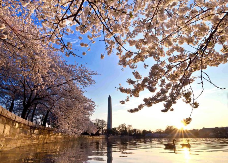 Washington: Cherry Blossom Tour - The bus ride gives you a quick Washington orientation