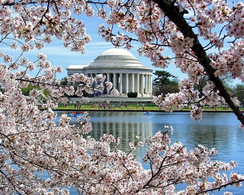 Washington DC: Cherry Blossom Walking Tour - Martin Luther King Jr. and the meaning of public space