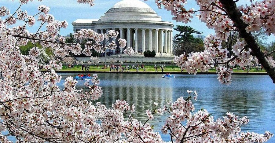 Washington DC: Cherry Blossom Walking Tour - Meeting Abraham Lincoln at the Lincoln Memorial