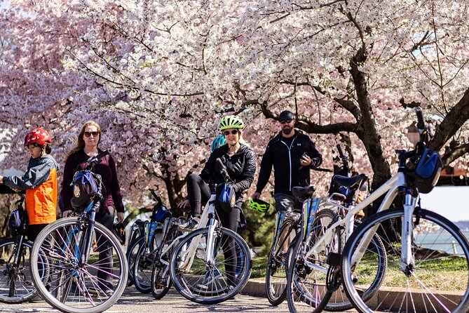 Washington DC Cherry Blossoms By Bike Tour - Why a bike makes sense around the Tidal Basin