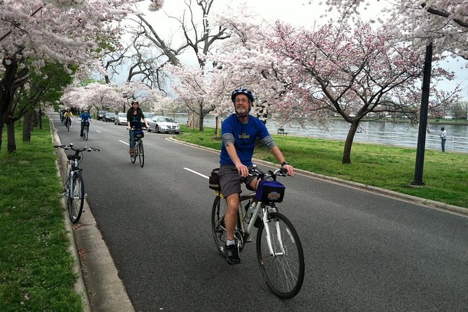 Washington DC Cherry Blossoms By Bike Tour - East Potomac Park and the festival setting