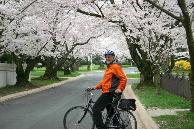 Washington DC Cherry Blossoms By Bike Tour - Bikes, seats, electric assistance, and children