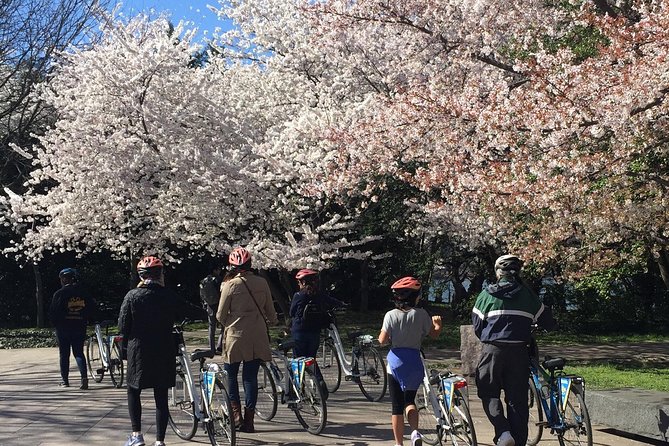 Washington DC Cherry Blossoms By Bike Tour - Walking bikes through the FDR Memorial