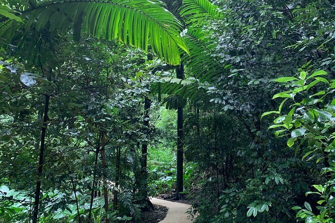 Welchman Hall Gully, Hunte’s Garden and Peg Farm Family Day - Who will enjoy this family day most